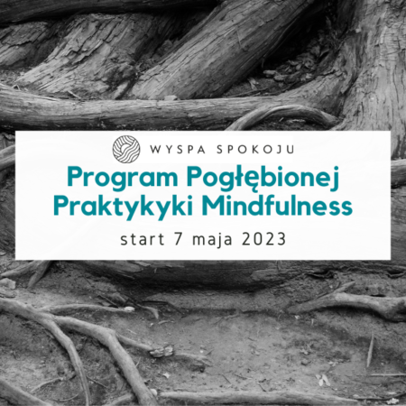 Program Pogłębionej Praktyki Mindfulness – zapraszam