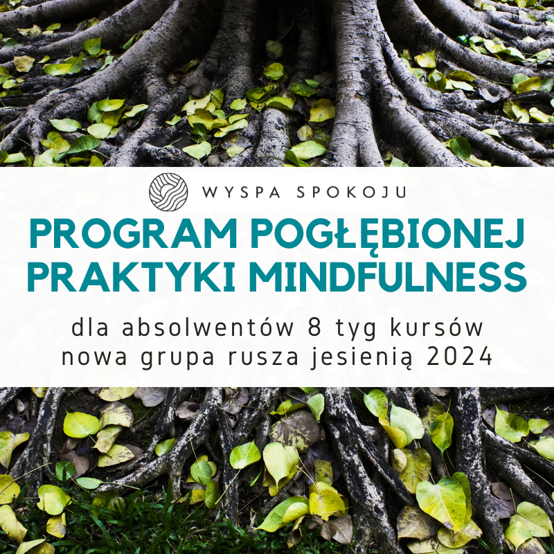 program pogłębionej praktyki mindfulness