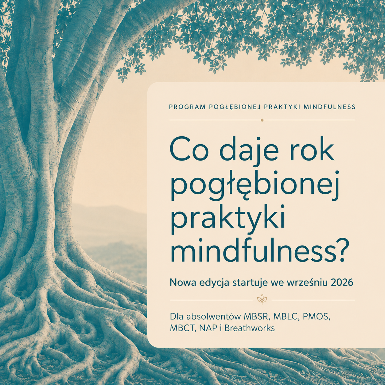Co daje rok pogłębionej praktyki mindfulness? pogłębiony program mindfulness z Zuzą Ziomecką